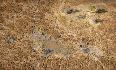 Área degradada com solo exposto indicando possível passivo ambiental