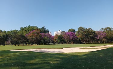 plano de manejo florestal