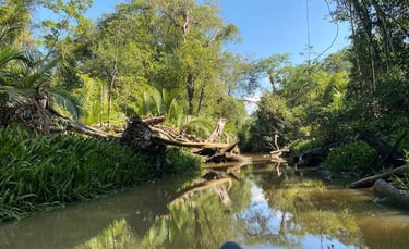 Thailand takua pa the little amazon