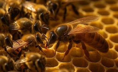 resiliência e trabalho em equipe - ublee