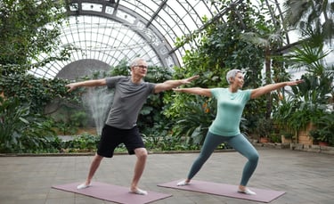CritiqoNet article on fitness programs for Older Adults
