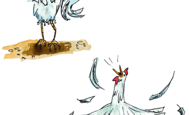 Aquarell Illustrationen von zwei Hühnern. Das eine überlegt  und das andere schreit. Fliegende Feder