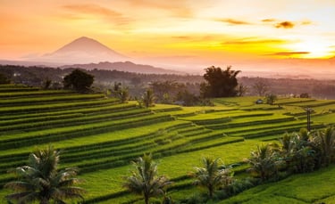 Jatiluwih Bali