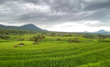 Jatiluwih Bali