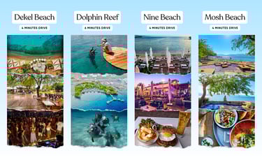 Dolphin Reef Eilat accommodation  Rooms near Dolphin Reef  Stay near Dolphin Reef Eilat  Dolphin wat
