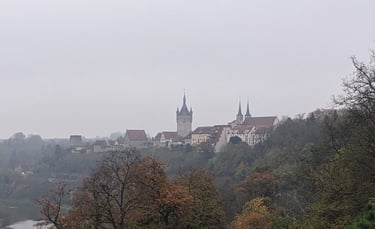 Stadtkulisse von Bad Wimpfen bei Nebel