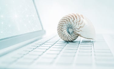 Nautilus sobre teclado que representa la integración: conocimiento ancestral - tecnologías modernas 