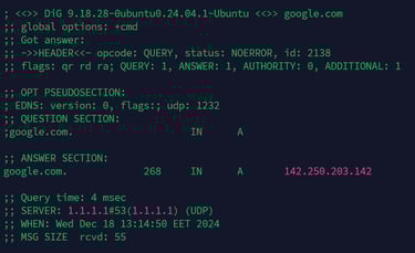 dig linux command output