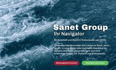 The Sanet Group