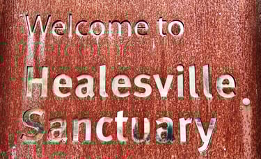 welcome to healesville sanctuary