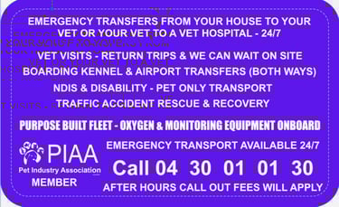 Business Card Back