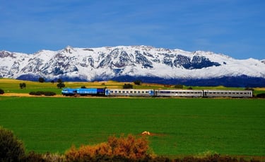 train sntf