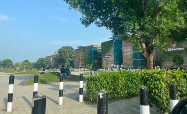 Lovely Professional University
