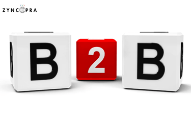 Zyncopra B2B consulting and trade facilitation services