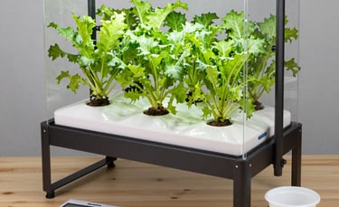 A serene garden scene with a person reading an ebook under a leafy tree bench.