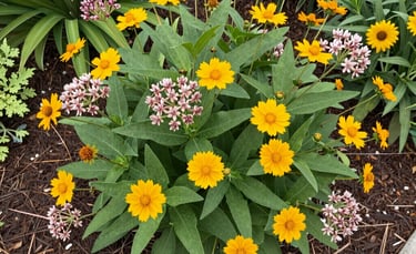 A backyard garden buzzing with bees and butterflies among blooming native plants.