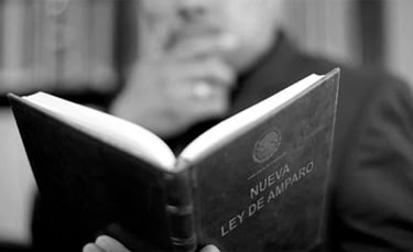 Amparo, Consultoría Legal, Firma De Abogado, Servicios Legales