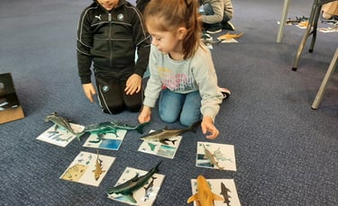 2 enfants avec la boite à requins