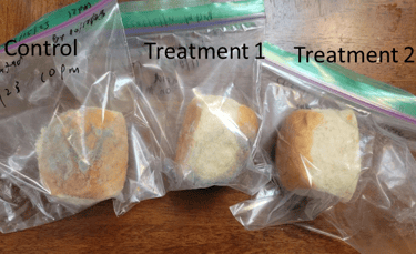 Cultured dextrose extends King's Hawaii bread roll shelf-life