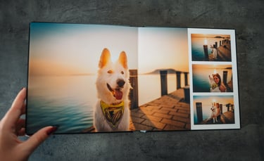 Fotóalbum belseje kutyás képekkel