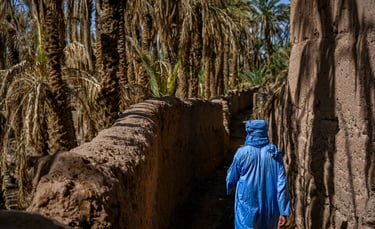 guided tour in zagora with dar toda - soul of nomads