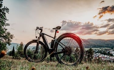 Abgestelltes E-Bike vor Naturkulisse