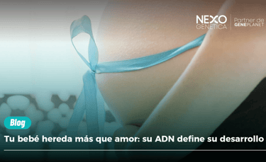 "Portad del blog de Nexo Genética. Una mujer embarazada muestra su vientre adornado con un listón azul. El título del artícul
