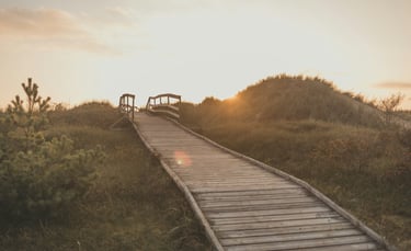 A bridge or walkway in nature signifying a journey