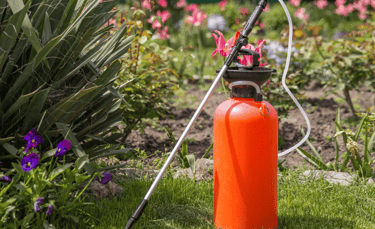 Professional lawn spraying service in Morrisville applying fertilizer and weed control treatment