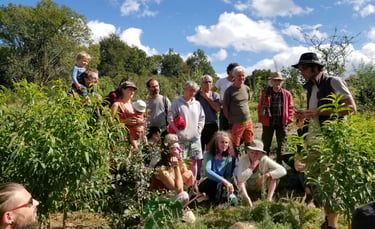 atelier de taille douce des arbres fruitiers