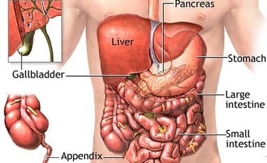 GASTRO FOUNDATION ABDOMINAL PAIN