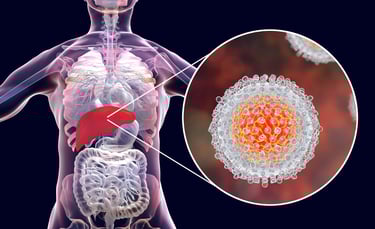 GASTRO FOUNDATION Hepatitis C