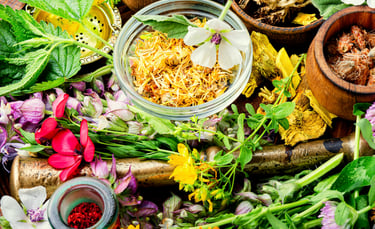 Les Plantes Médicinales des Vosges