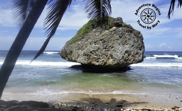 A photo of a Bathsheba Rock on Barbados taken by Mary Morong.