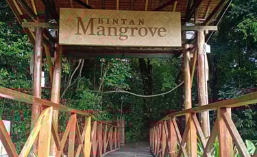 Mnagrove Discovery Tour