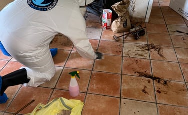 Nettoyage après décès Castelculier