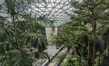 rain Vortex Aéroport Singapour