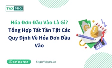 hoa don dau vao
