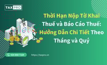 thoi han nop to khai thue