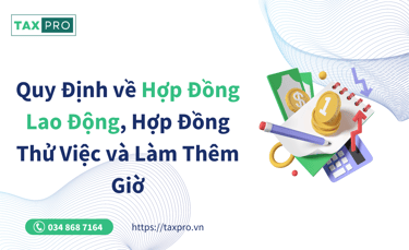 quy dinh hop dong lao dong