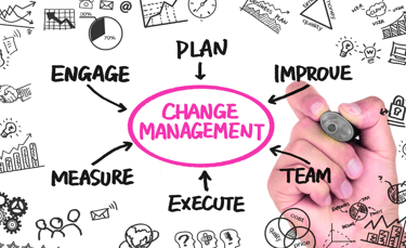 Conduite du changement : réussir la transformation culturelle et organisationnelle