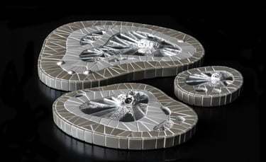 Grupo de amebas plata