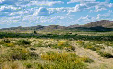 By Hardscarf - Own work, CC BY-SA 4.0, https://commons.wikimedia.org/w/index.php?curid=46088462