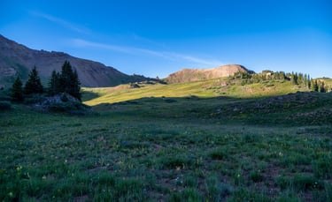 Wildflowers and high alpine grasses below mountain ridges at sunrise