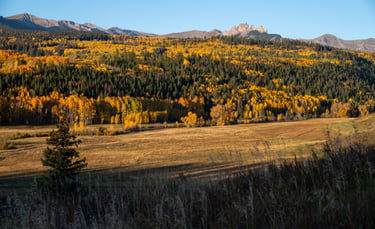 The West Elk Mountain Castles at sunrise above aspen trees adorned in vibrant fall colors