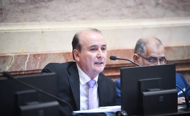 Senador Nacional Montenegro Gerardo