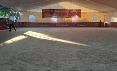 Mantenimiento de pistas de hielo