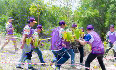 MICE group Tiim Travel