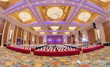 International Hotel Carpet