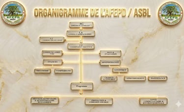 Organigramme AFEPD asbl
